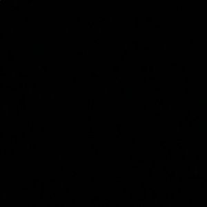 Meet your Posher, Donya